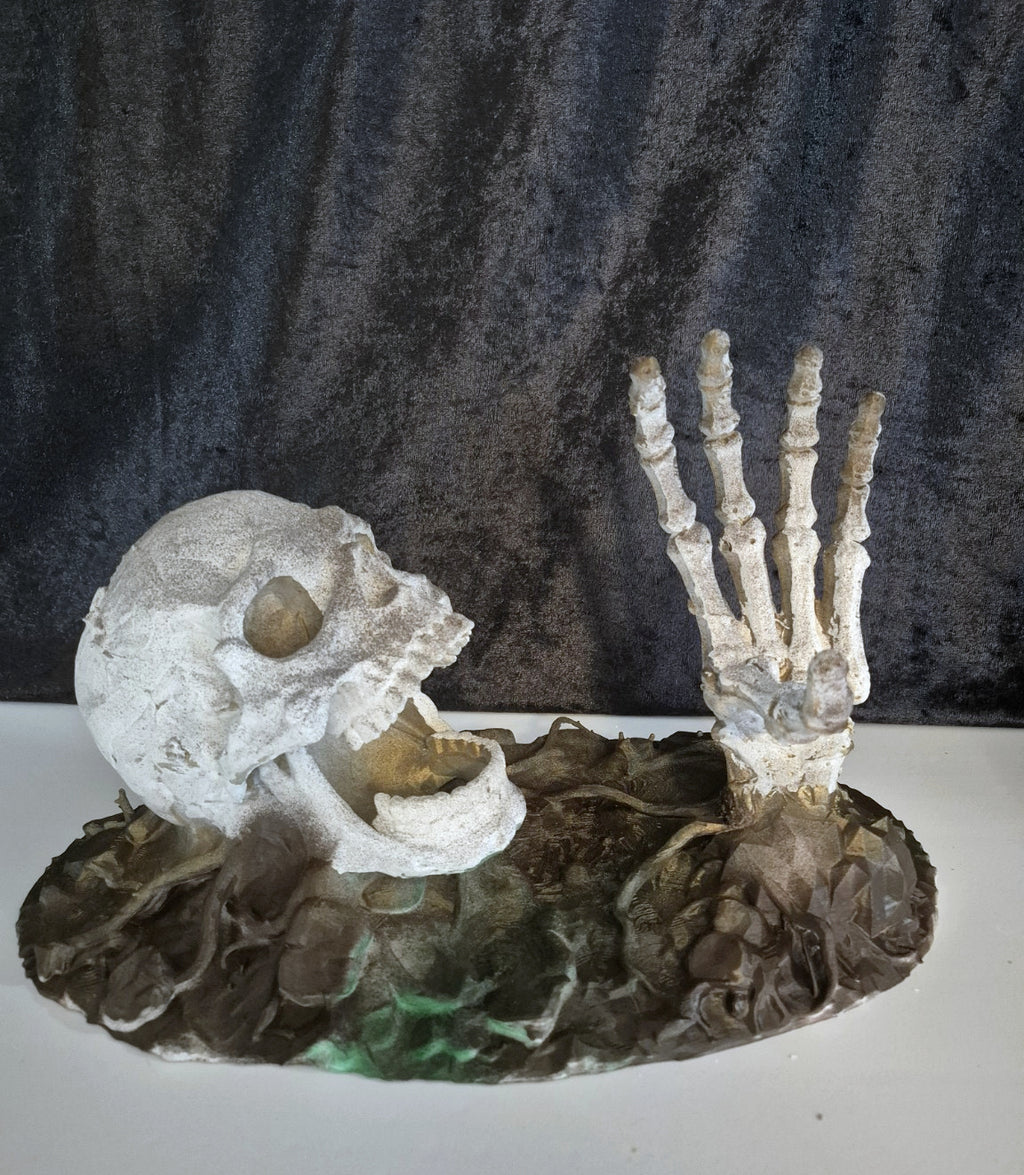 Skeleton skull and hand bottle holder empty display view